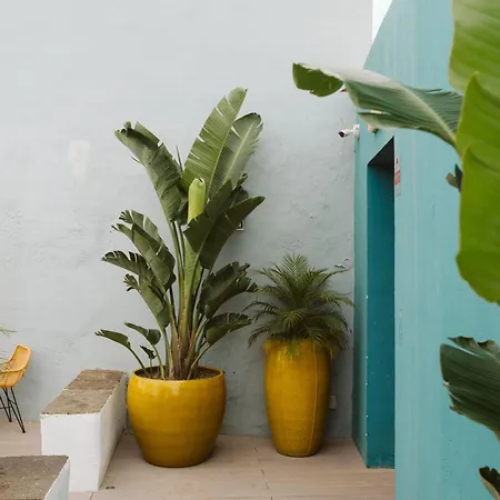 Hotel Dreamsea Boutique Experience Moya (Gran Canaria)