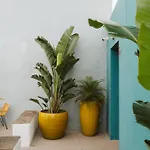Hotel Dreamsea Boutique Experience Moya (Gran Canaria)